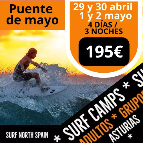 surf oferta 7